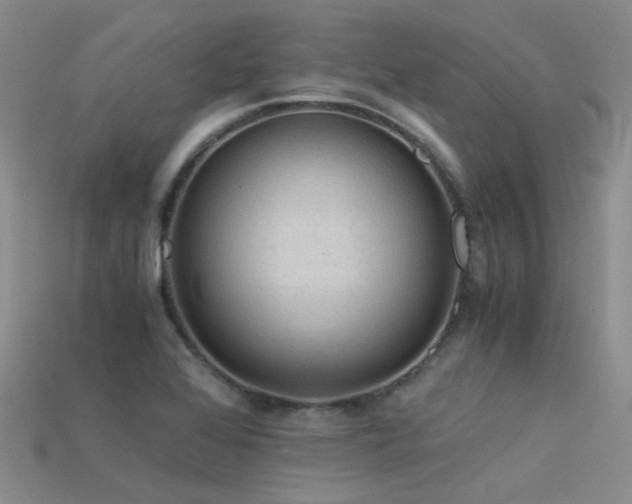 X0000115821368200911131436