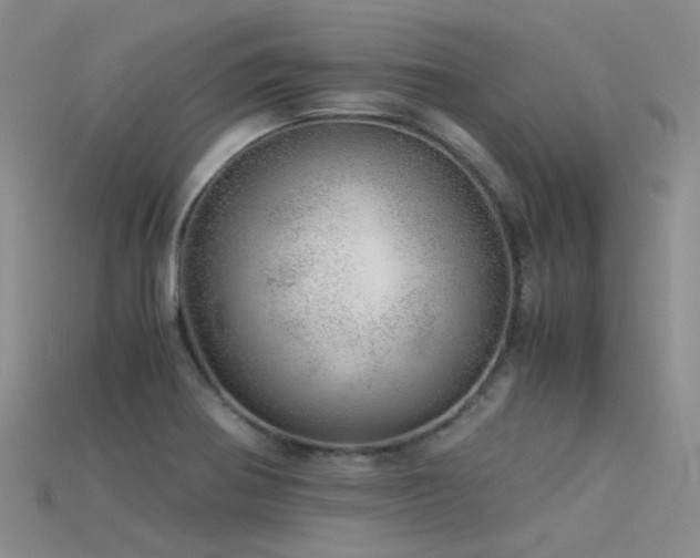 X0000115821370200911131436