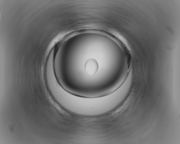 X0000115821373200911131436