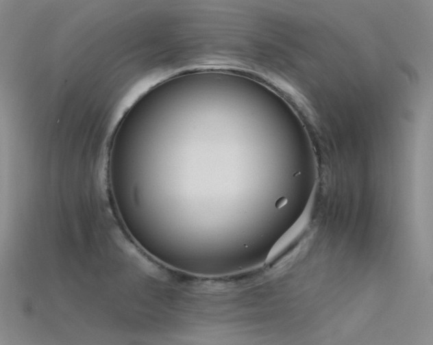 X0000115821374200911131436