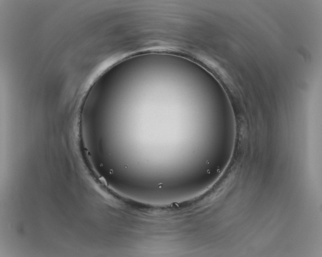 X0000115821375200911131436