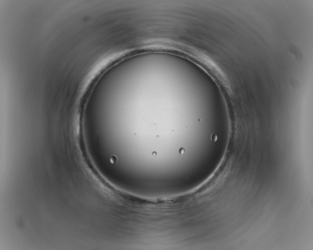 X0000115821376200911131436