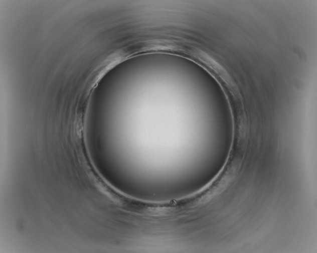 X0000115821377200911131436