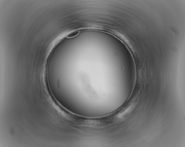 X0000115821379200911131436