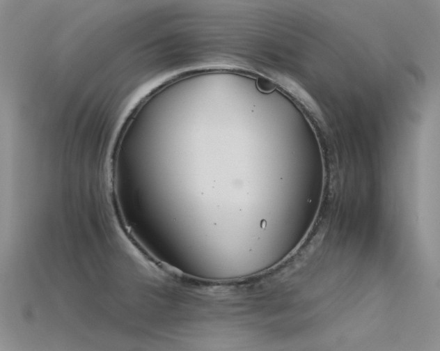 X0000115821380200911131436