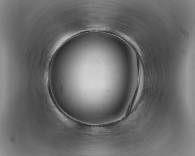 X0000115821383200911131436