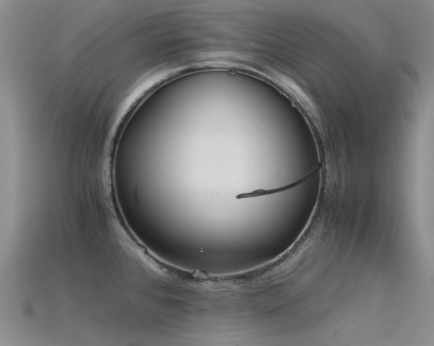 X0000115821384200911131436