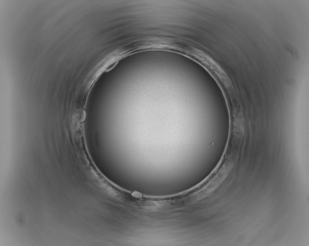 X0000115821385200911131436