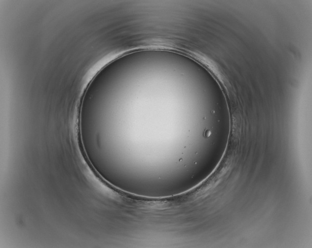 X0000115821387200911131436