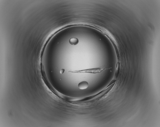 X0000115821388200911131436