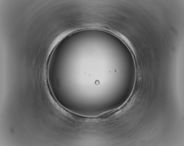 X0000115821389200911131436