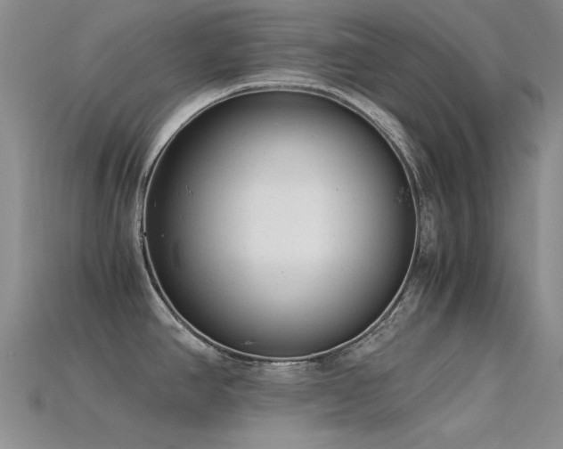 X0000115821390200911131436