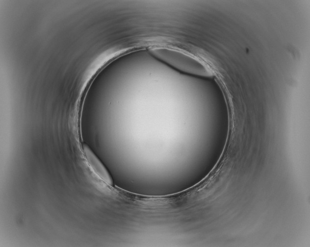 X0000115821392200911131435