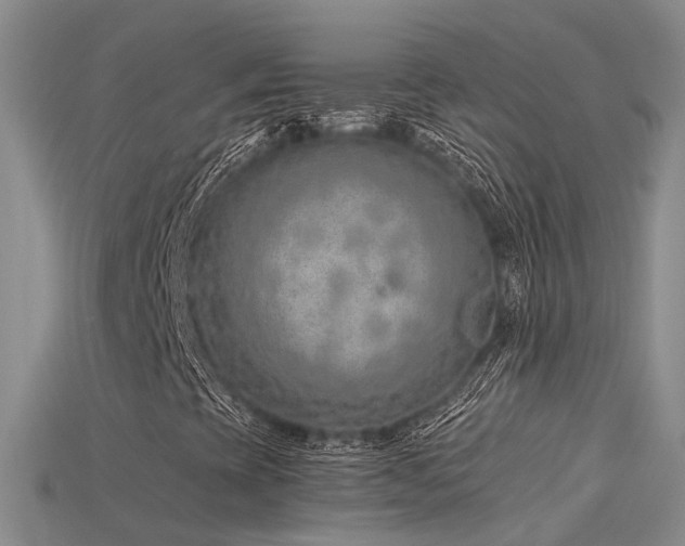 X0000115821393200911131435