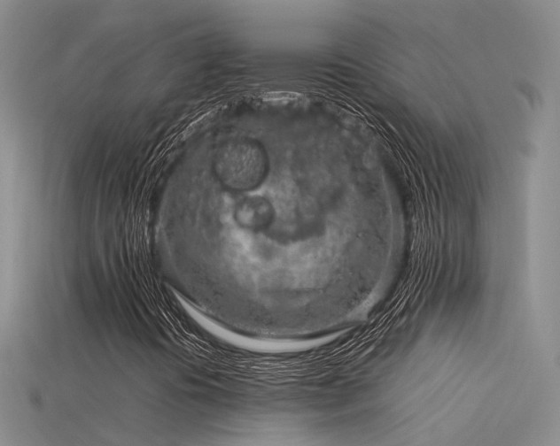 X0000115821394200911131435