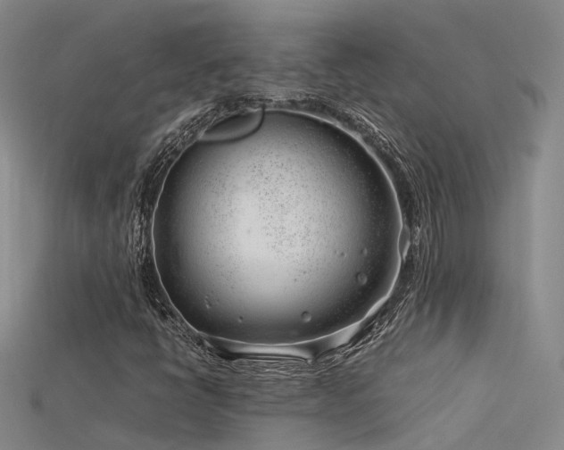 X0000115821398200911131435