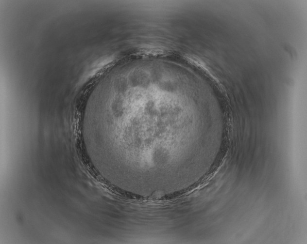 X0000115821399200911131435