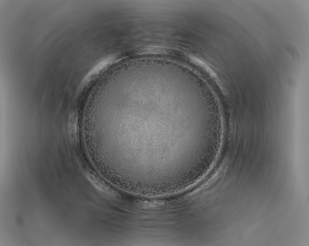 X0000115821403200911131435