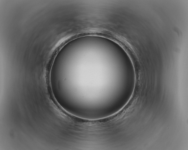 X0000115821404200911131435