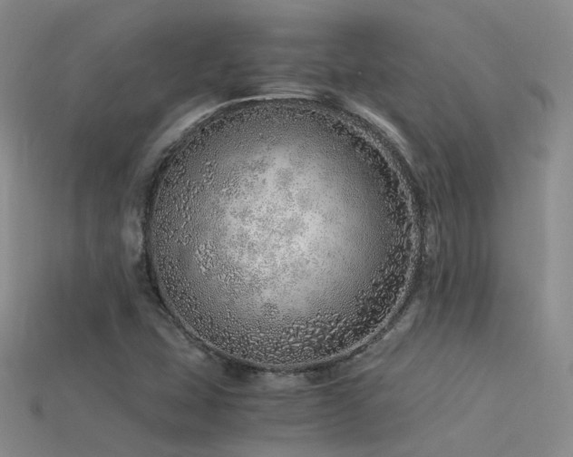 X0000115821407200911131435