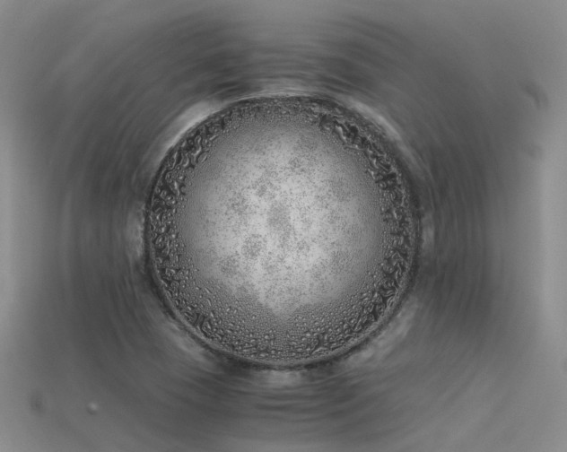 X0000115821409200911131435