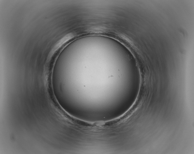 X0000115821410200911131435