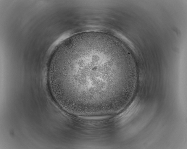 X0000115821411200911131435