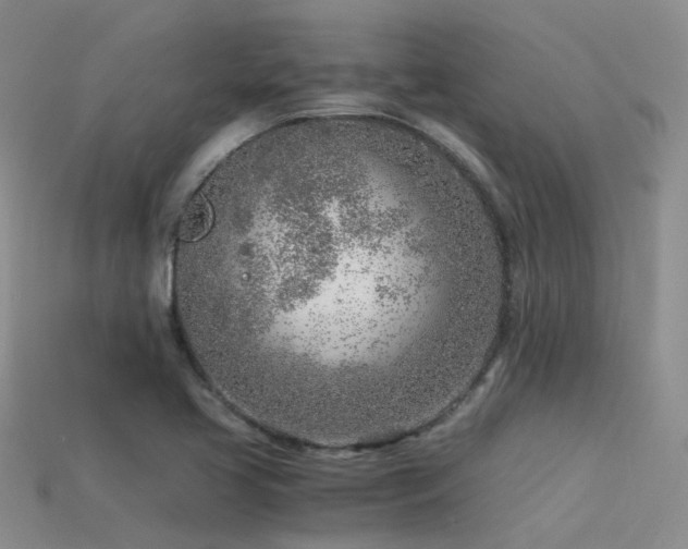 X0000115821413200911131435