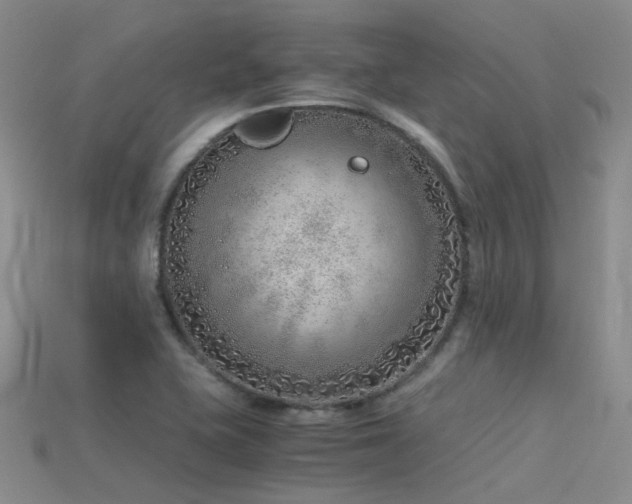 X0000115821415200911131435