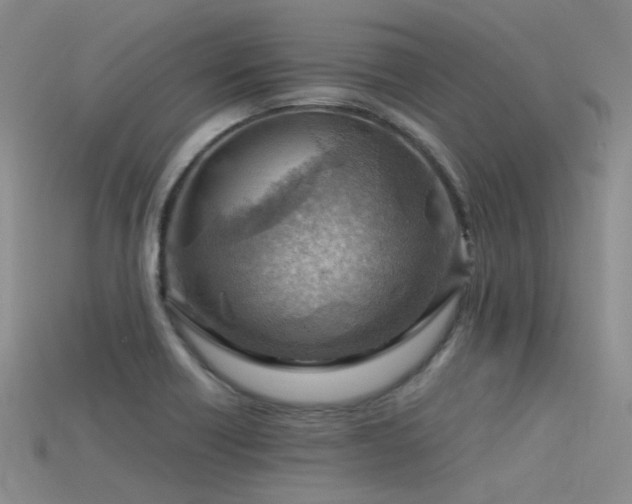 X0000115821418200911131435