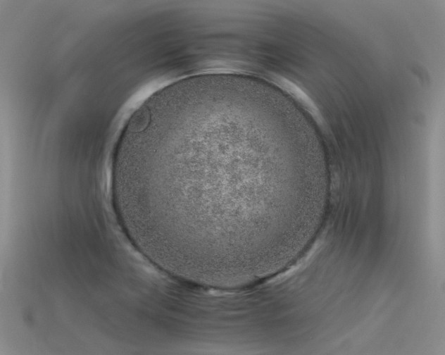 X0000115821419200911131435