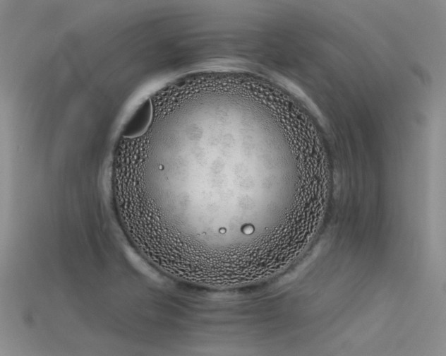 X0000115821421200911131435