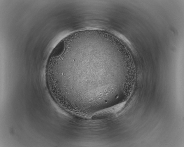 X0000115821423200911131435