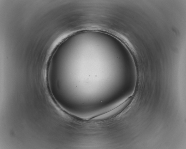 X0000115821424200911131435