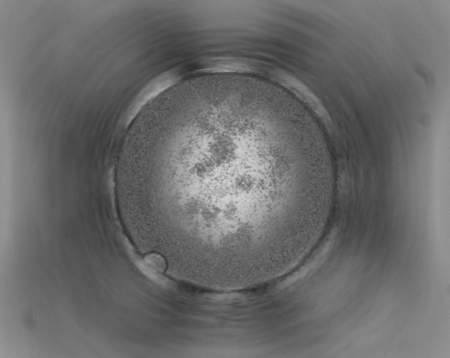 X0000115821425200911131435