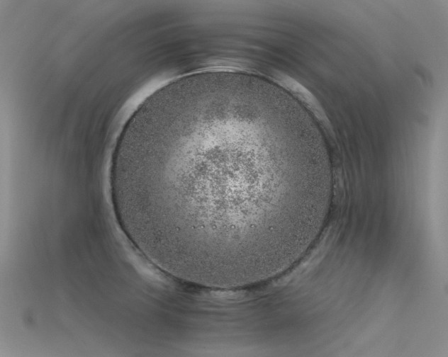 X0000115821427200911131435