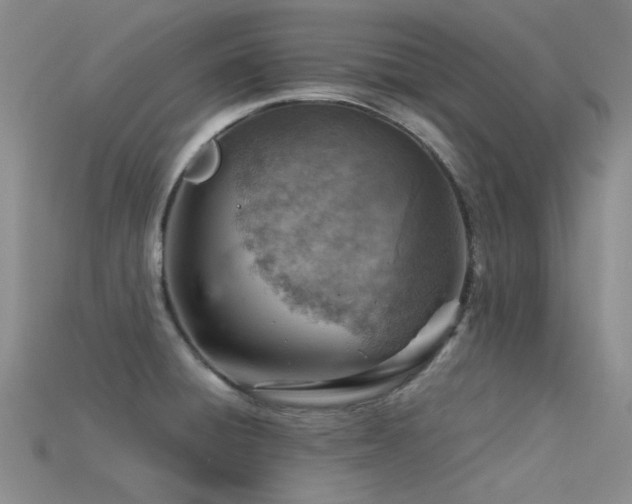 X0000115821428200911131435