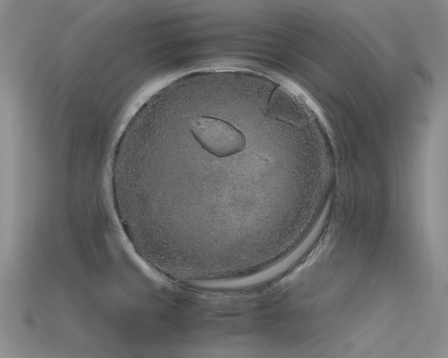 X0000115821429200911131435