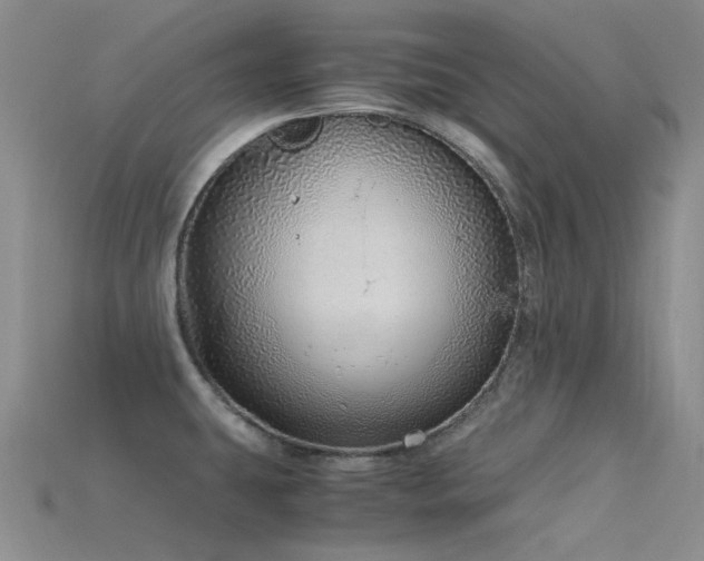 X0000115821431200911131435