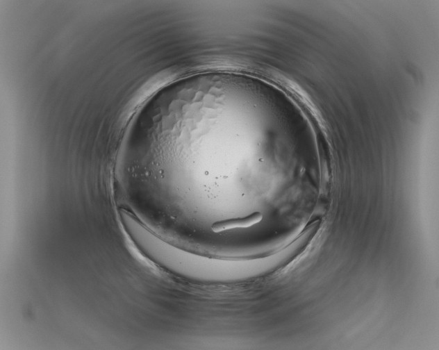 X0000115821433200911131435