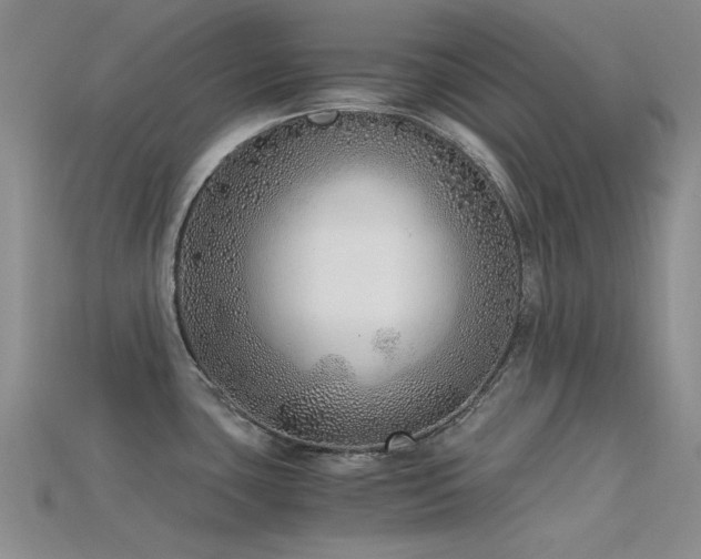 X0000115821435200911131435