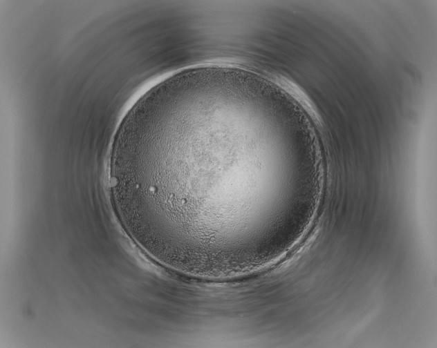 X0000115821436200911131435