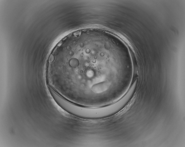 X0000115821438200911131435