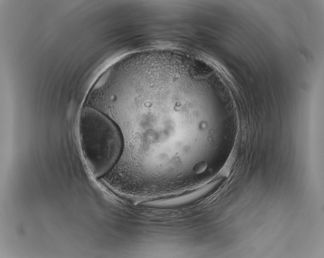 X0000115821439200911131435