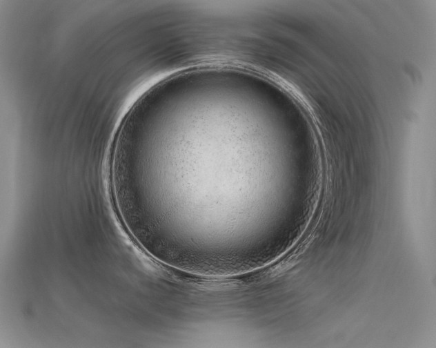 X0000115821440200911131435