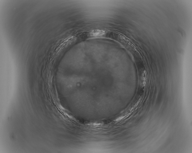 X0000115821441200911131435