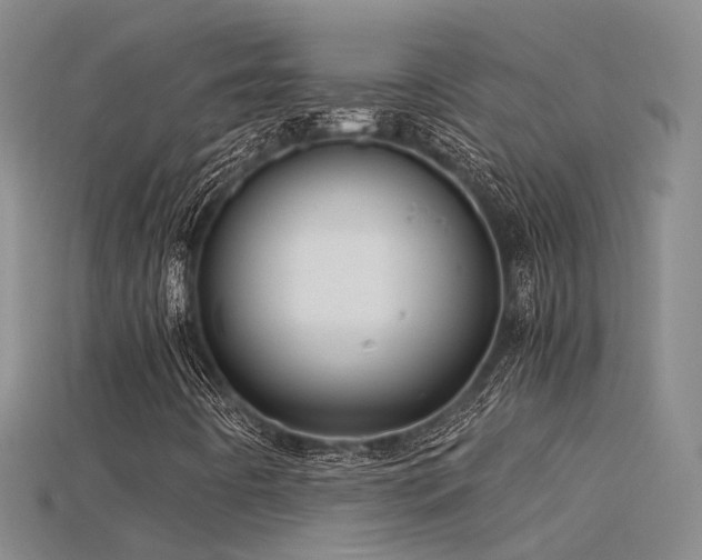 X0000115821442200911131435