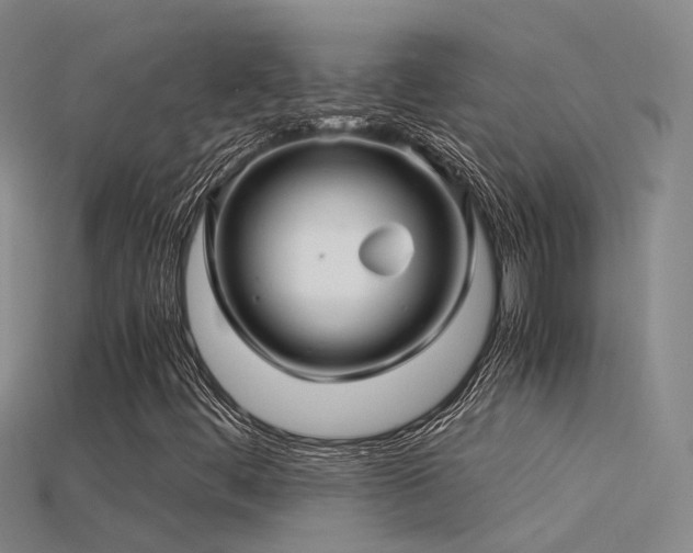 X0000115821444200911131435