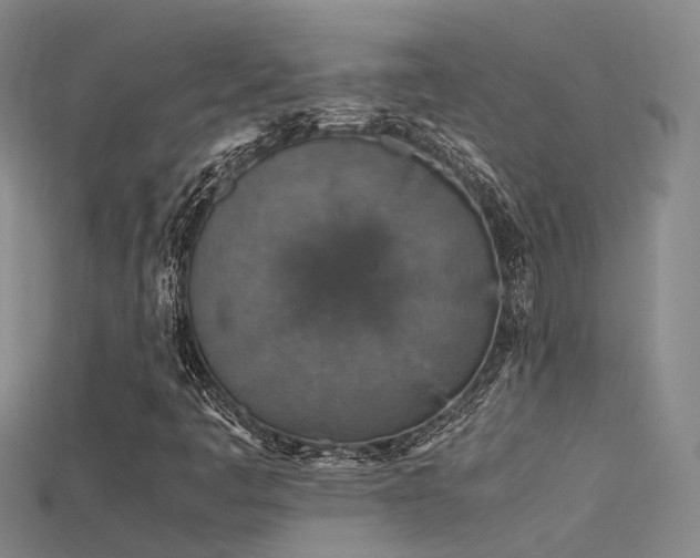 X0000115821445200911131435