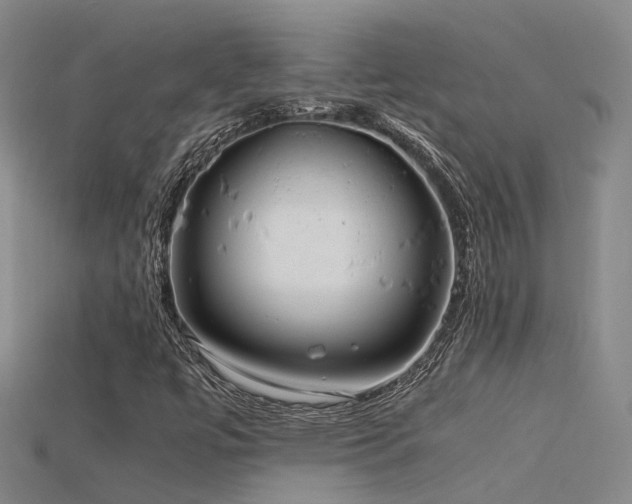 X0000115821447200911131435